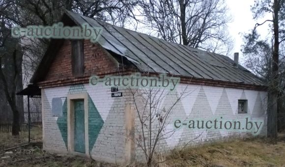 Мастерская по ремонту в д. Годылево (Быховский район) площадью 38м²