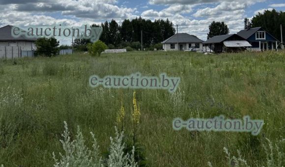 Земельный участок в д. Горново (Пинский район), площадью 0.0996 га