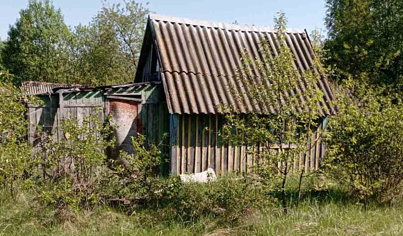 Садовый домик в СТ Тихиничи (Буда-Кошелевский район) площадью 18.7м²