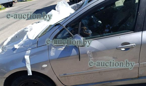 Peugeot 307, 2003