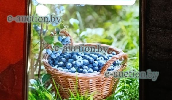 Мобильный телефон Redmi Note 12