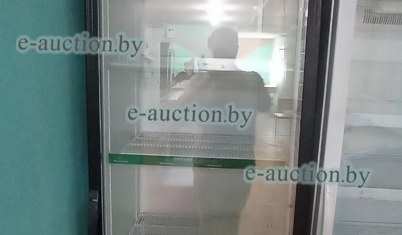 Холодильный шкаф Ice Stream Dynamic