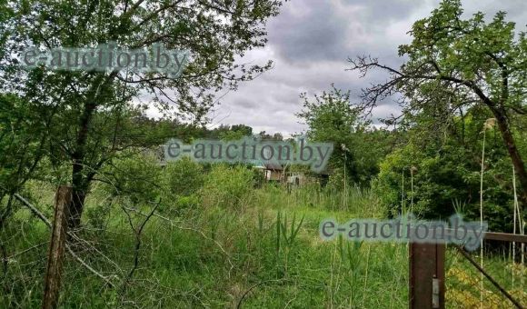 Земельный участок в СТ "Журавинка-84" (Брестский район), площадью  0.0484 га