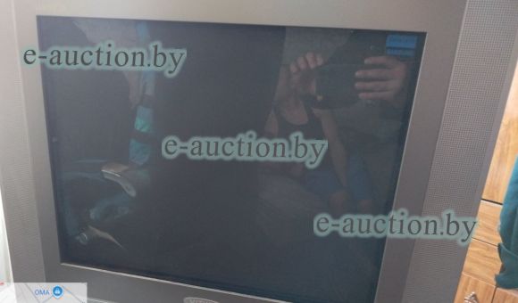 Телевизор Витязь