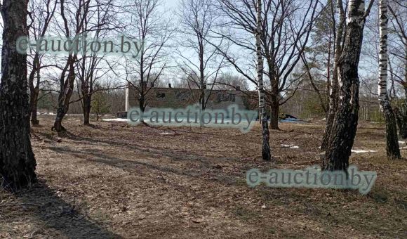 Здание материально-технического склада вблизи гп Копаткевичи (Петриковский район), площадью 266.7м²