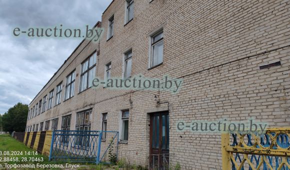 Гараж в г. Костюковичи, площадью 226.3м²