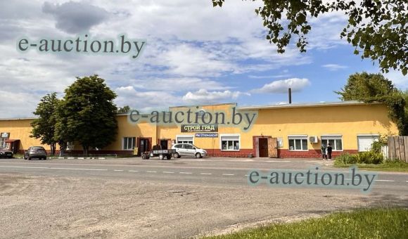 Магазин в д. Уза (Буда-Кошелёвский район), площадью 1045.1м²