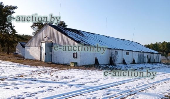 Зерносклад вблизи д. Сиреневка (Дрогичинский район), площадью  559.6 м²