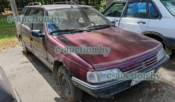 Peugeot 405, 1991