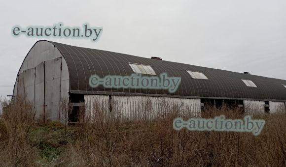 Телятник вблизи д. Синие Горы (Смолевичский район), площадью 517.3 м²