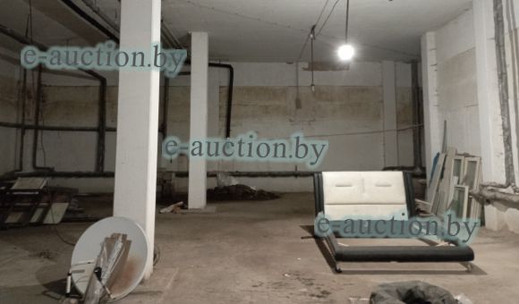 Помещение неустановленного назначения в г. Витебске, площадью 353.1 м²