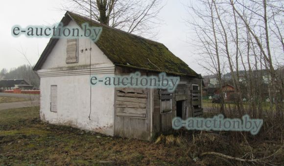 Жилой дом в д. Янушковичи (Логойский район), площадью 20.8 м²