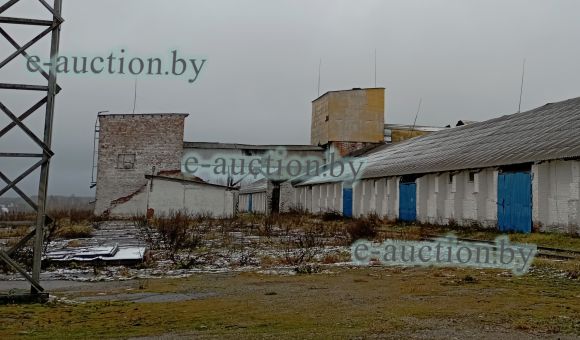 Механическая лопата в г. Городке, площадью 15 м²