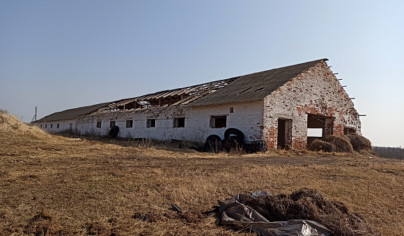 Коровник вблизи д. Лужайки (Полоцкий район), площадью 930.2 м²