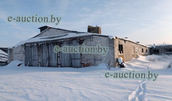 Коровник вблизи д. Гонтовля (Дрибинский район) площадью 2905.6м²