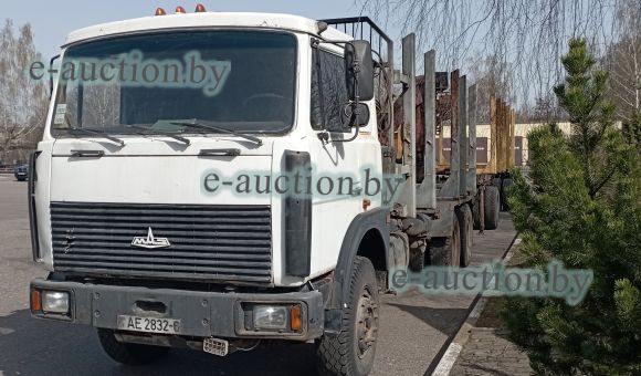 МАЗ 6303А8, 2010