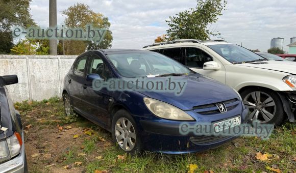 Peugeot 307, 2001