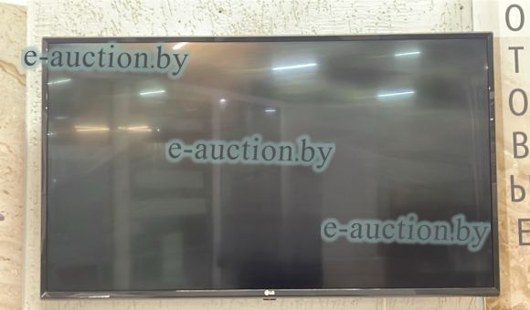 Телевизор LG LX570U №10
