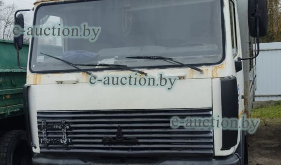 МАЗ 437143-331, 2008