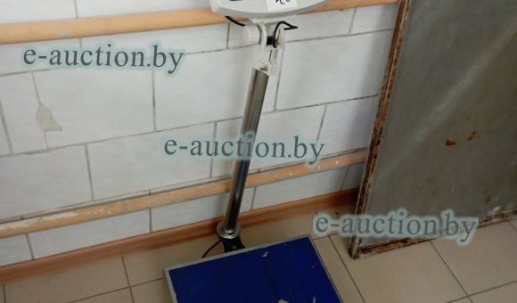 Весы электрические НВТ-7 №19