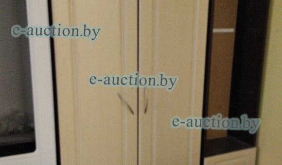 Шкаф СН-060.05 №9