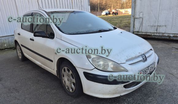Peugeot 307, 2002