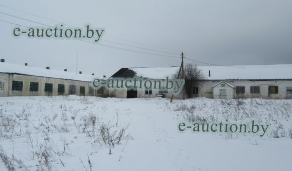 Здание коровника в вблизи д. Старая Метча (Борисовский район), площадью 3079.1 м²