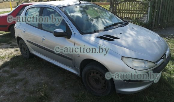 Peugeot 206, 2002