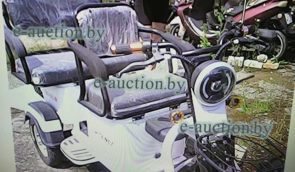 Электрический трицикл SHTENLI