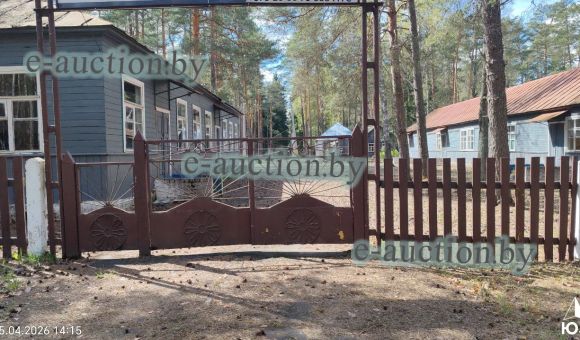 Комплекс капитальных строений вблизи д. Мирадино (Бобруйский район)