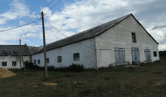 Коровник с молочным блоком севернее д. Мироним (Ивацевичский район), площадью 1822.3м²