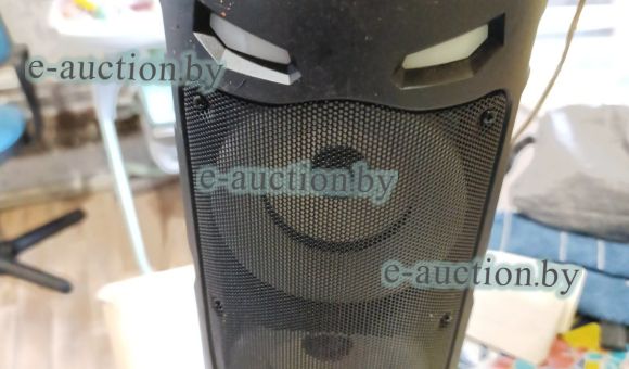 Колонка ZQ S4239