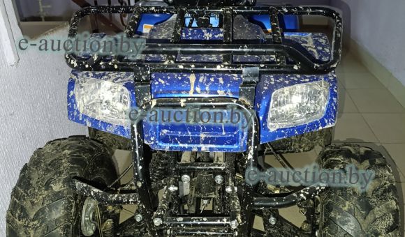Квадроцикл ATV Motoland Rider 110
