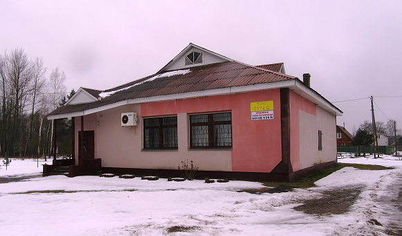 Магазин в д. Буда Гресская (Слуцкий район), площадью 152.6 м²