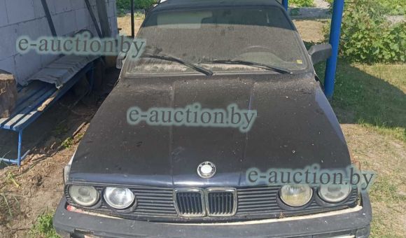BMW 316, 1990