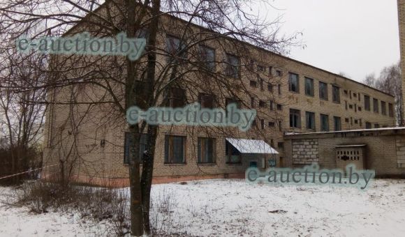 Лот № 1. Капитальные строения (инв.№№ 723/С-7274, 723/С-9723), расположенные по адресу: Могилевская обл., Мстиславский район,  г. Мстиславль, ул. Дзержинского, 37А